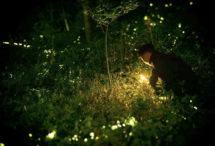 theater-und-feriendorf-koenigsleitn-saisonale-erlebnisse-gluehwurmchen-wanderung-um-den-herrensee