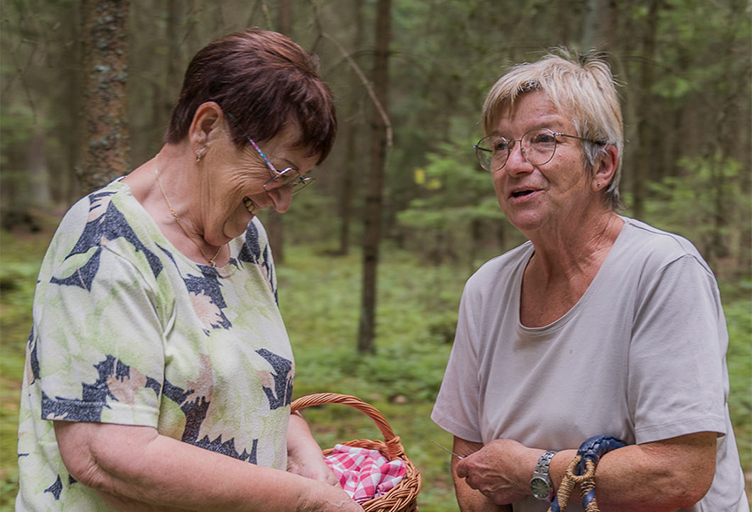 theater-und-feriendorf-koenigsleitn-saisonale-erlebnisse-schwammerlsuchen