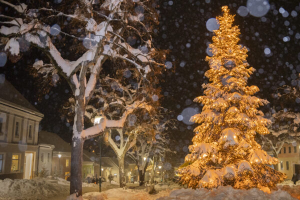 (c) Stephan Mussil
Bildgröße: 1,0 MB