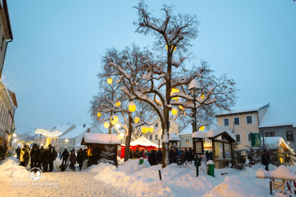 (c) Johannes Heissenberger
Bildgröße: 0,9 MB